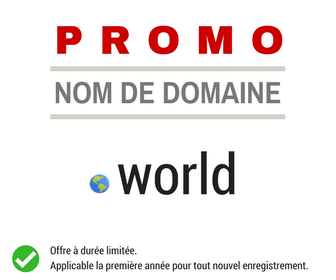 Promotion sur le nom de domaine .WORLD
